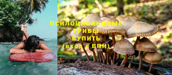 крисы Белоозёрский