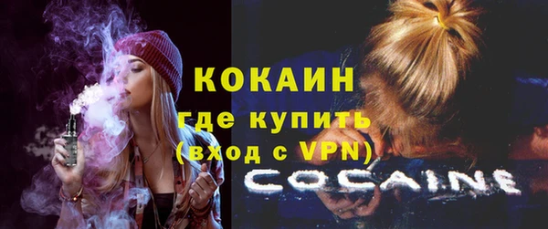 дживик Беломорск